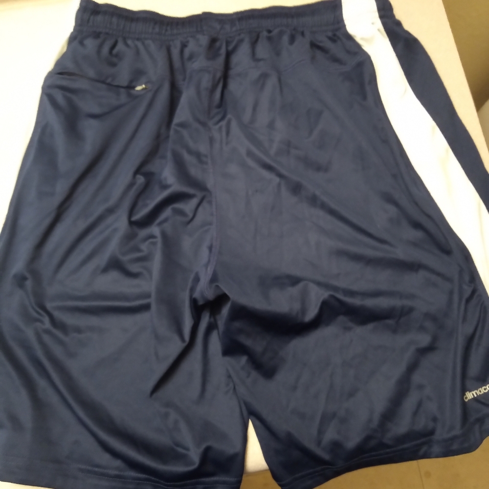 Adidas Blue and White Athletic Shorts